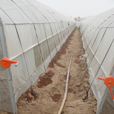 8m 9m 10m Plastic Polytunnel Greenhouse Agriculture Growing Vegetable Flower Fruit