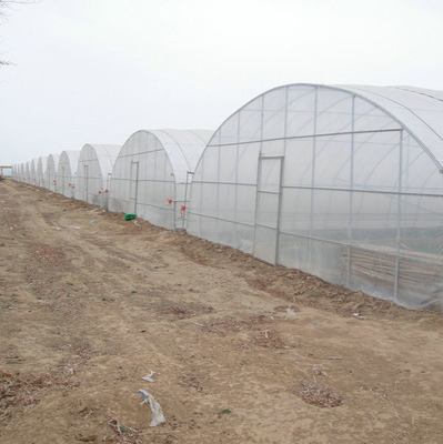 8m 9m 10m Plastic Polytunnel Greenhouse Agriculture Growing Vegetable Flower Fruit