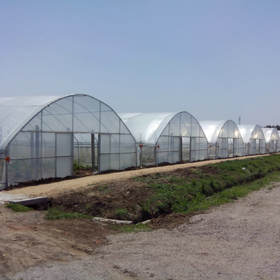 8m 9m 10m Plastic Polytunnel Greenhouse Agriculture Growing Vegetable Flower Fruit