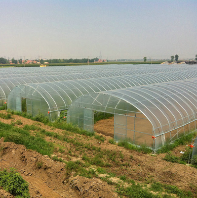 8m 9m 10m Plastic Polytunnel Greenhouse Agriculture Growing Vegetable Flower Fruit