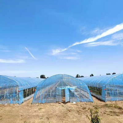 8m 9m 10m Plastic Polytunnel Greenhouse Agriculture Growing Vegetable Flower Fruit