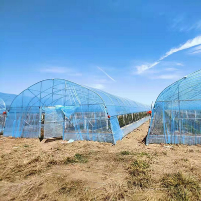 8m 9m 10m Plastic Polytunnel Greenhouse Agriculture Growing Vegetable Flower Fruit