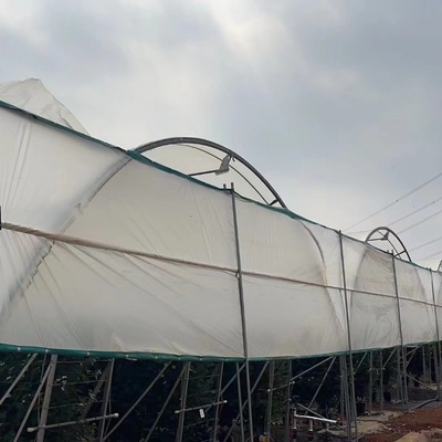Uv Resistant Polyethylene Berry Hoop Film Greenhouse With Door Keep Warm Growing Strawberry Blueberry