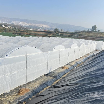 Uv Resistant Polyethylene Berry Hoop Film Greenhouse With Door Keep Warm Growing Strawberry Blueberry