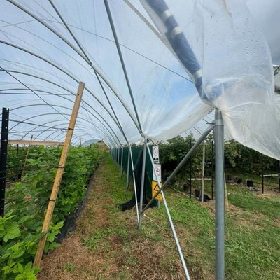 Uv Resistant Polyethylene Berry Hoop Film Greenhouse With Door Keep Warm Growing Strawberry Blueberry