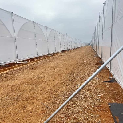 Uv Resistant Polyethylene Berry Hoop Film Greenhouse With Door Keep Warm Growing Strawberry Blueberry
